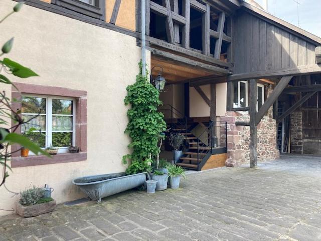 Joli Gite 2 Personnes En Alsace Guémar Exterior photo